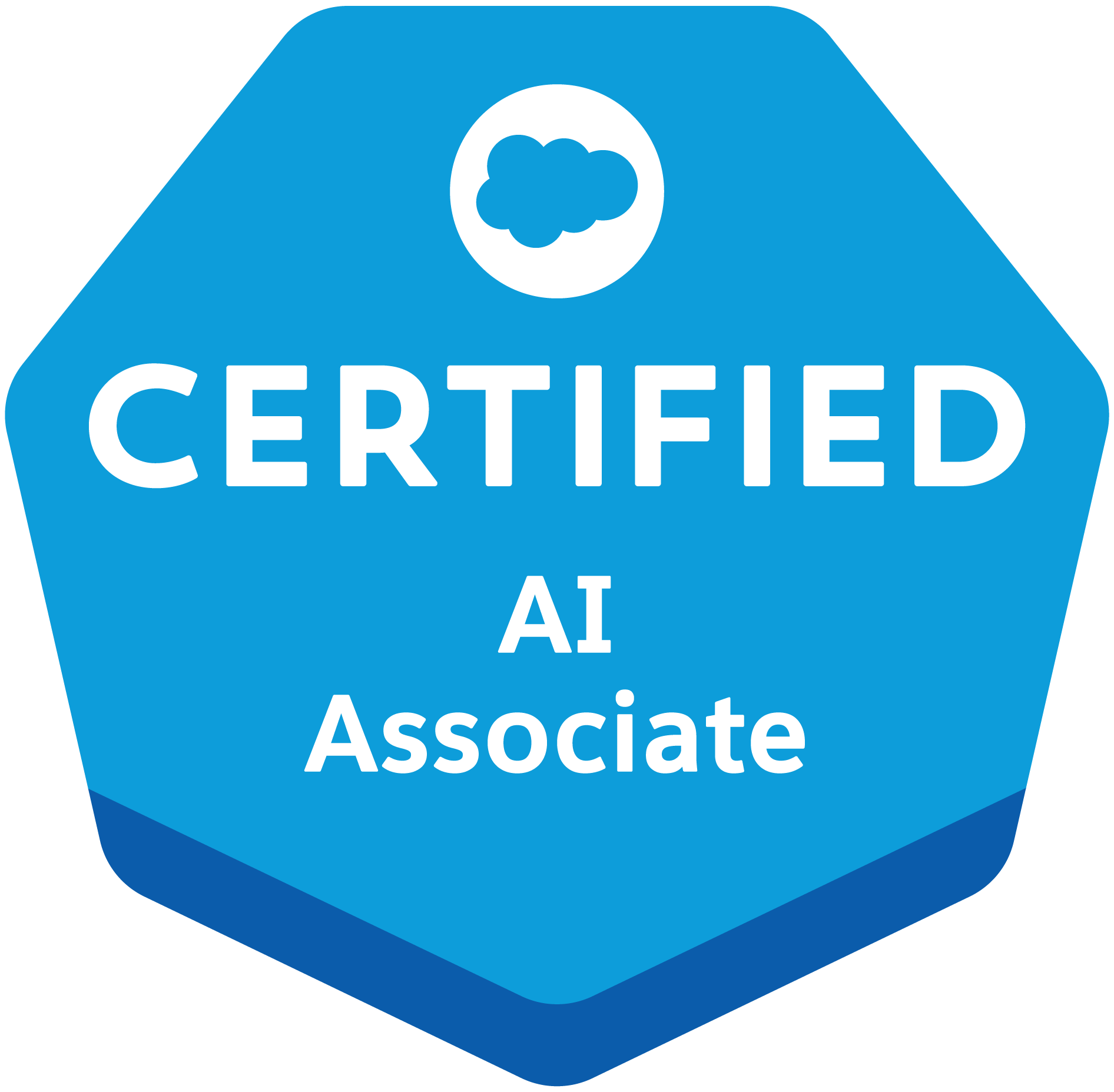 Karthik Arun R - Data Scientist & ML Engineer